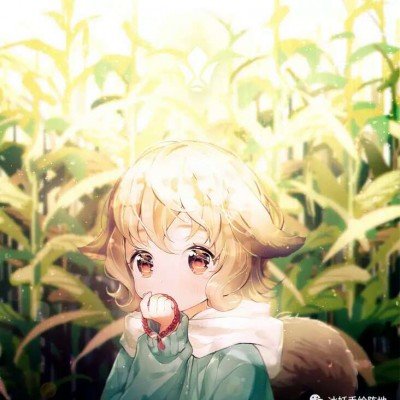 美不管霍尔木兹海峡